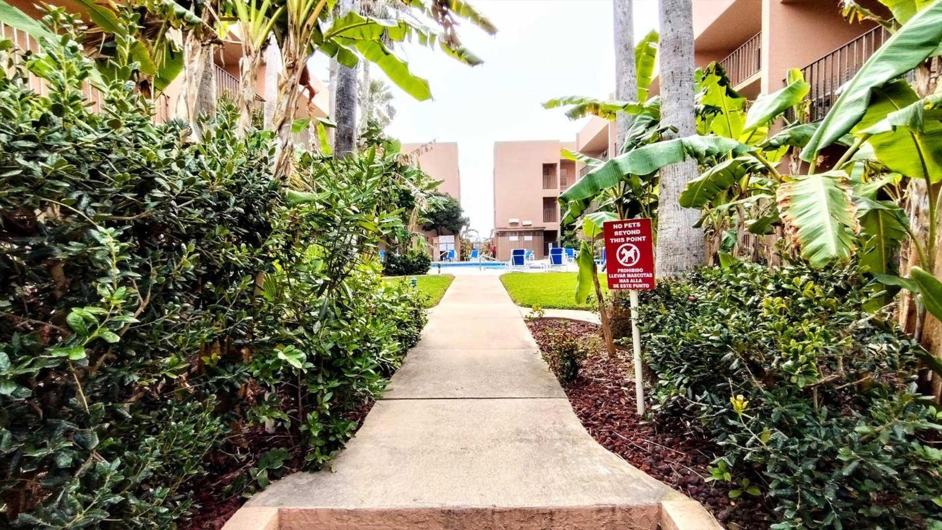 Beachview 110 Condo South Padre Island Esterno foto